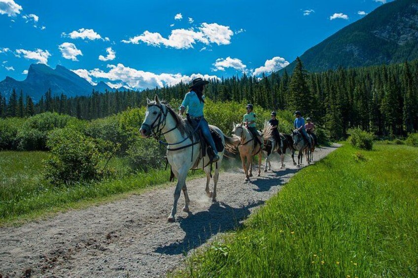 2 Hour Banff Horseback Riding Adventure 3