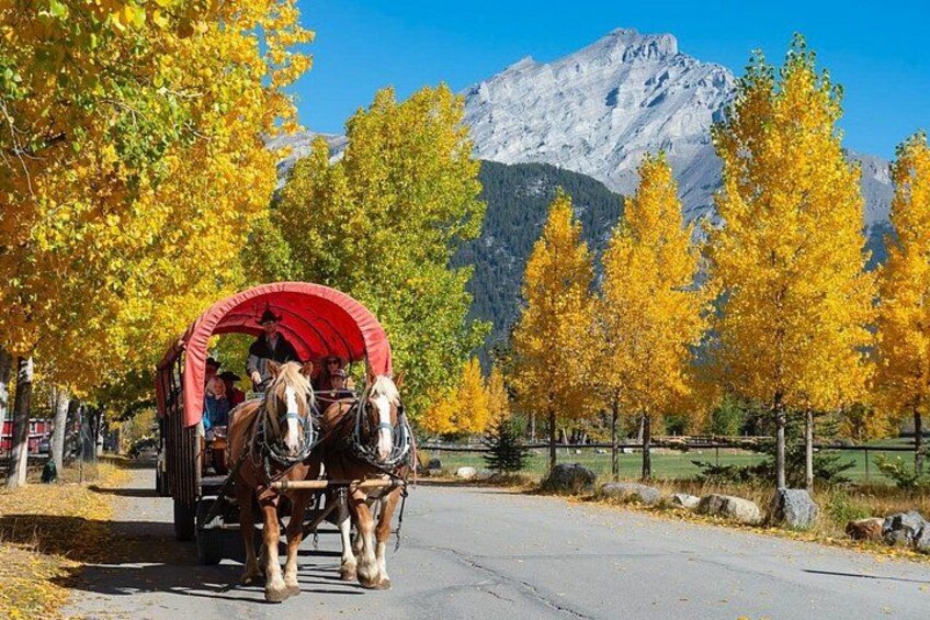 The wagon ride 2