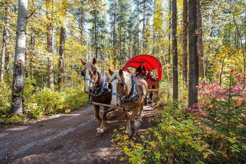 The wagon ride 3