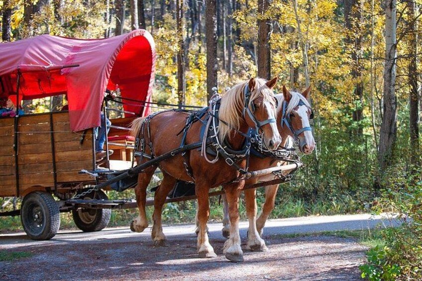 The wagon ride 3