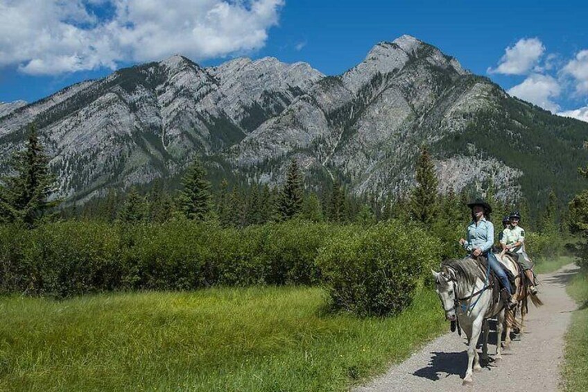 Un grupo de personas montando a caballo por un sendero con montañas al fondo. 5