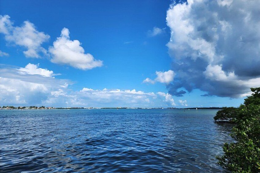 St. Petersburg Jungle Prada Site History Tour 3