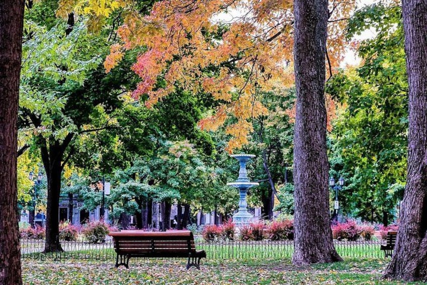 Ein Park mit einem Brunnen, Bäumen mit Herbstlaub und einer Bank. 4