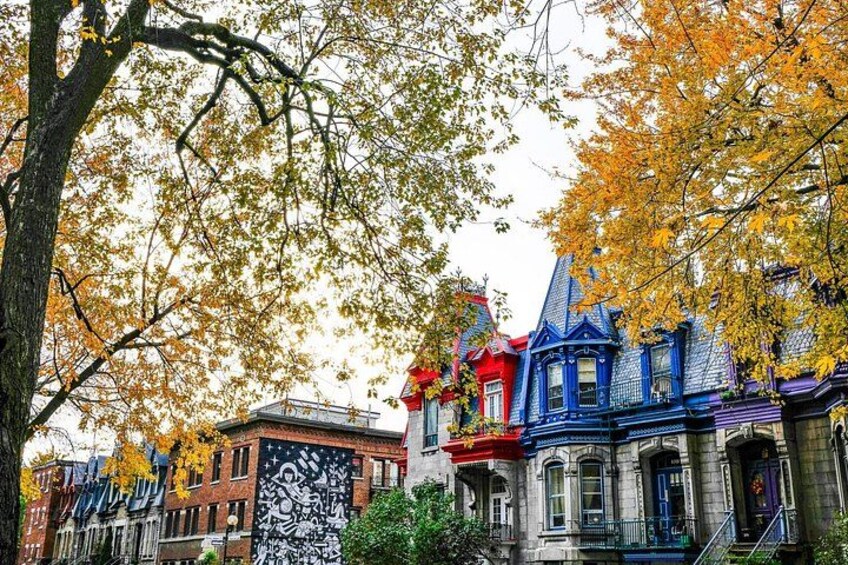 Una hilera de casas victorianas coloridas con hojas otoñales. 3