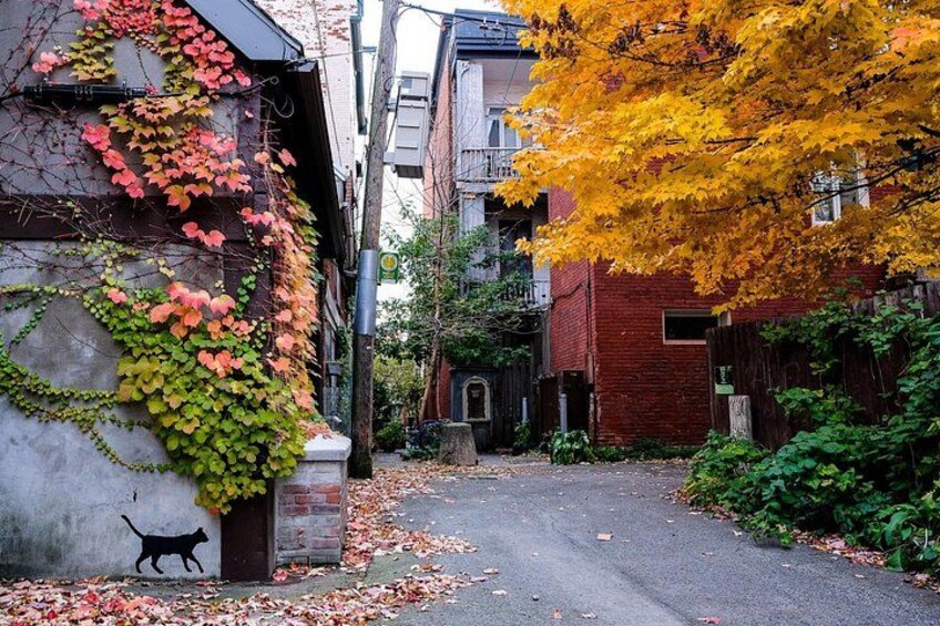 Montreal's Plateau Mont-Royal and Mile End Tour by MTL Detours 3