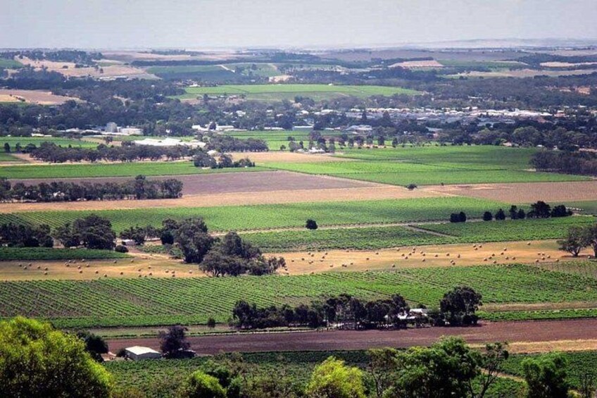 A rural landscape with fields, trees, and a small building. 2