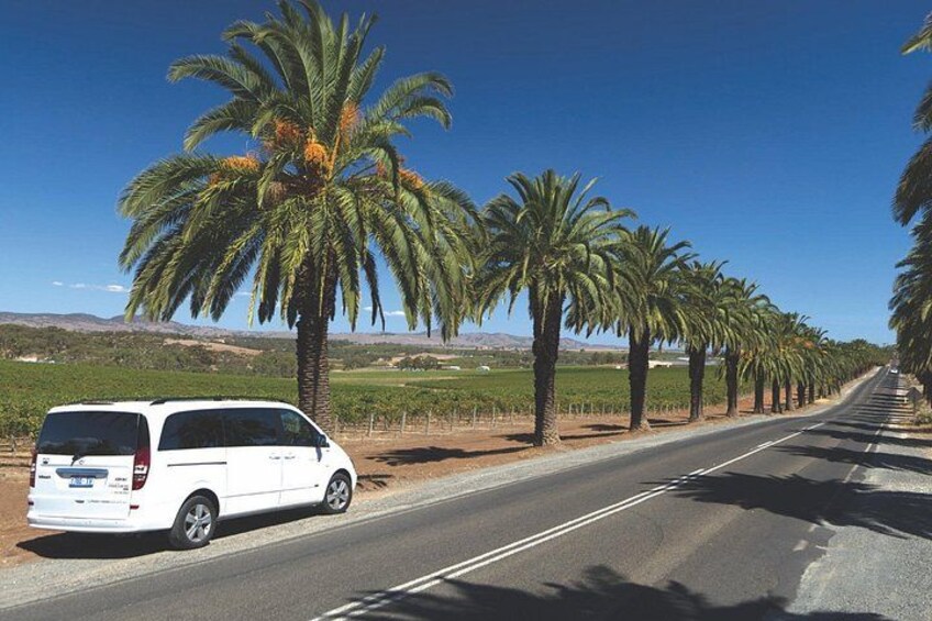 A white van parked on a road lined with palm trees, with a clear blue sky and distant mountains. 4