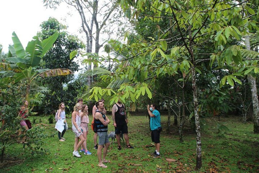 Organic farm tour 3