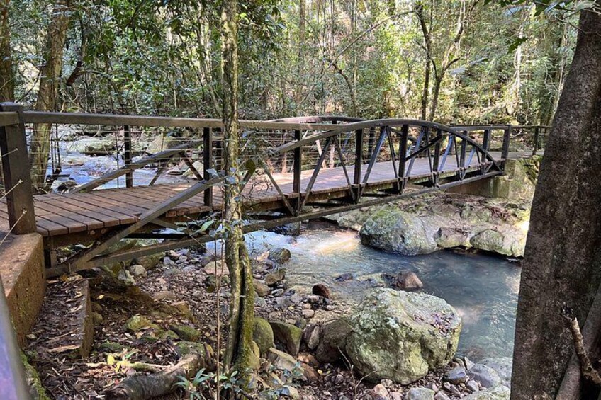 A wooden bridge over a stream in a forested area with rocks and trees. 5