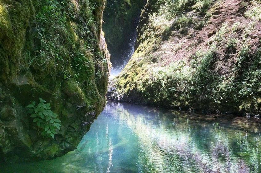 The quiet pools below waterfalls are where we find the greatest zen. 2