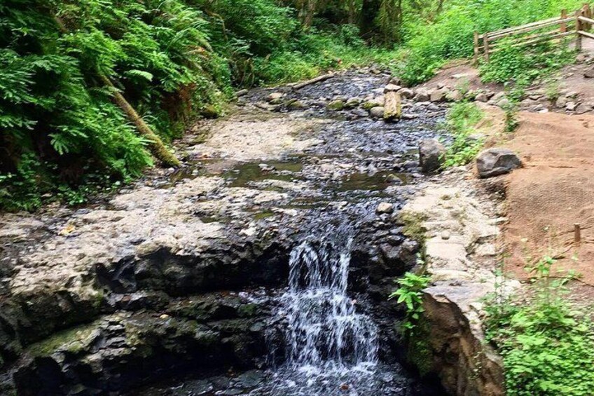 We follow a beautiful creek -- and tell you the dramatic story behind its name 4