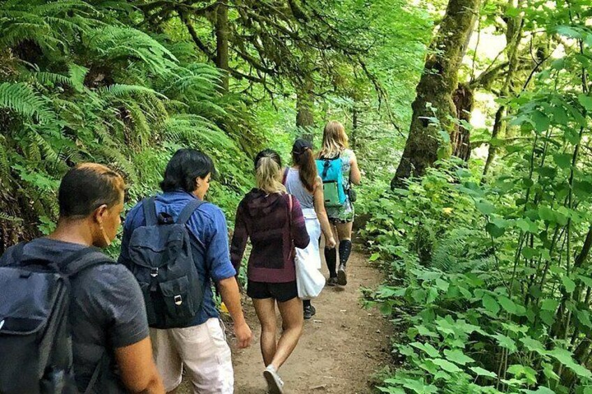 Heading deep into the lushness of Forest Park in summer! 4