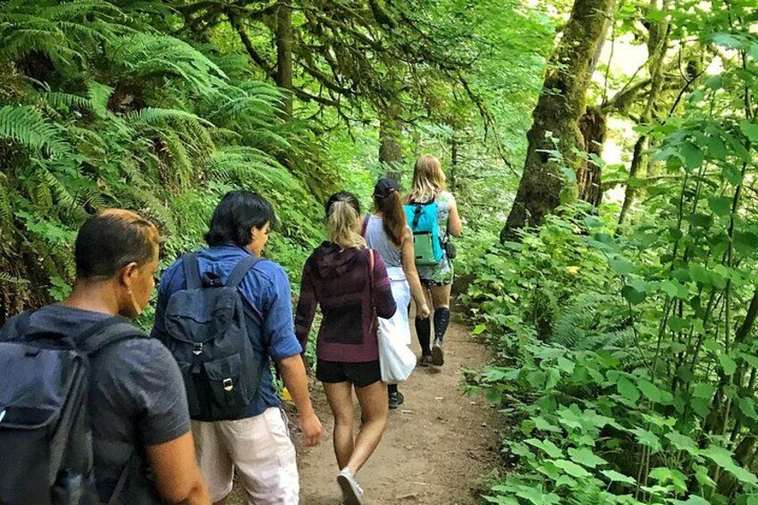 Heading deep into the lushness of Forest Park in summer! 1