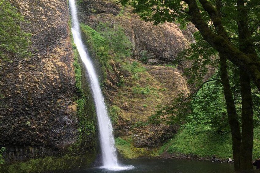 A waterfall cascading down a rocky cliff surrounded by lush greenery. 5