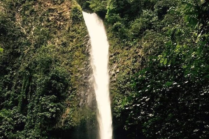 Una cascada se precipita por un risco rocoso rodeado de abundante vegetación. 3