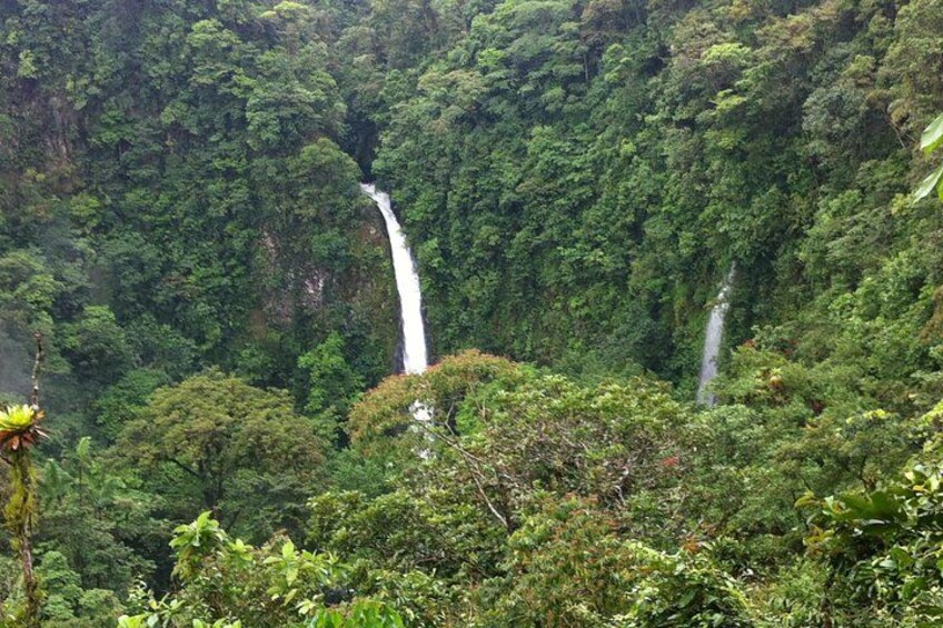 Una cascada rodeada de un bosque tupido. 5