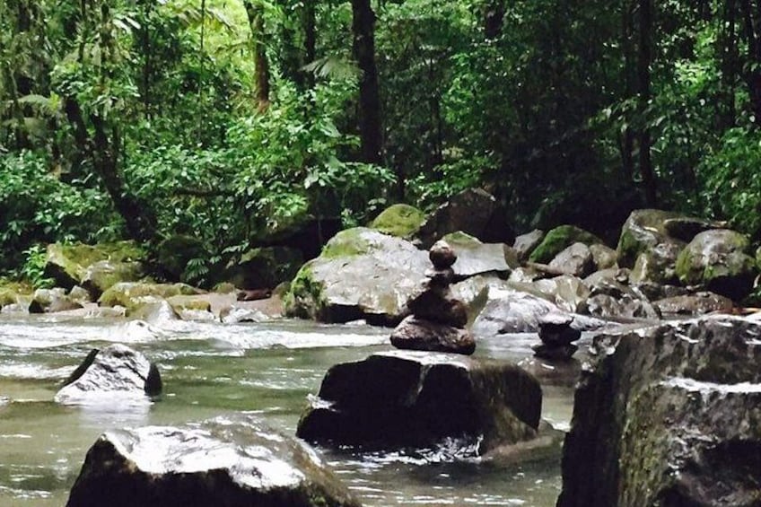 Un río con grandes rocas y abundante vegetación verde al fondo. 2