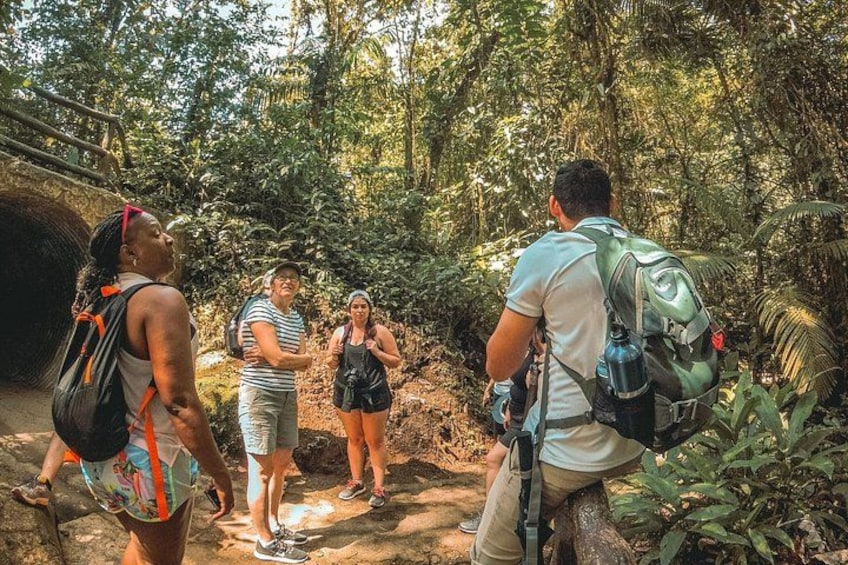 A group of hikers walking through a forested area with a tunnel entrance. 4