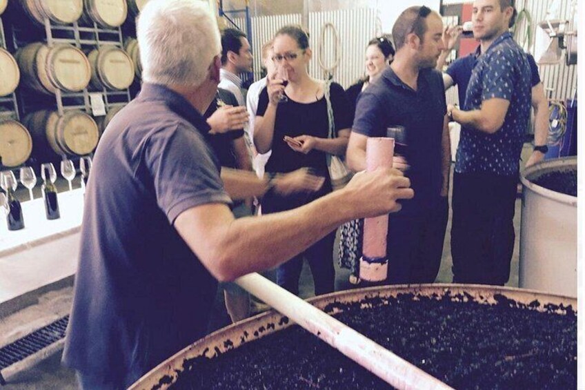 Private tastings in a winery
(Subject to availability) 4