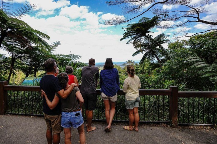 Take in the views at the Alexandra Lookout 4