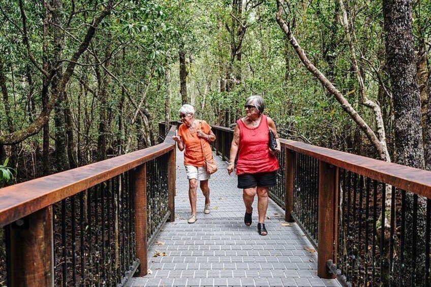 Easy accessible boardwalks in the Daintree 4