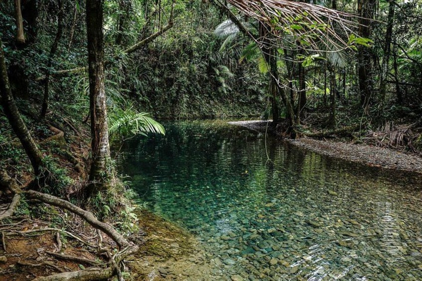 Cooper Creek 2