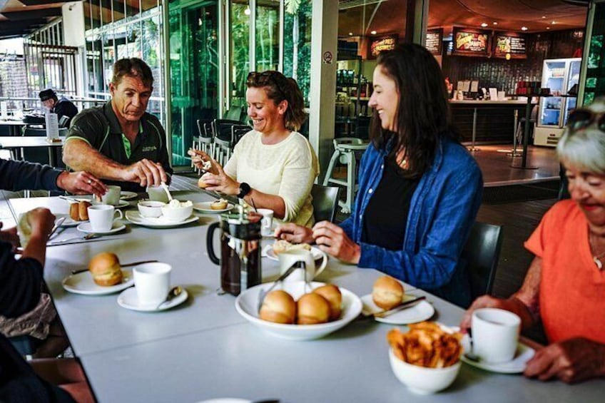 Morning tea at Mossman Gorge 5