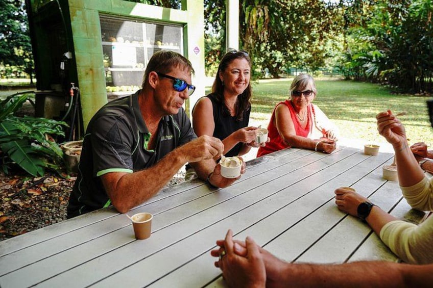 Daintree Ice Cream 2