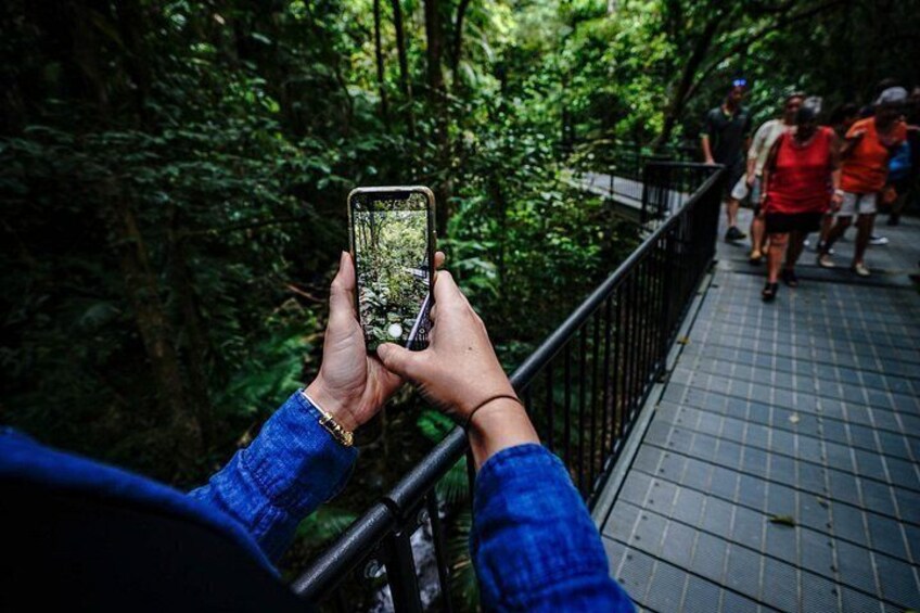 Photo opportunities in the Daintree Rainforest 3