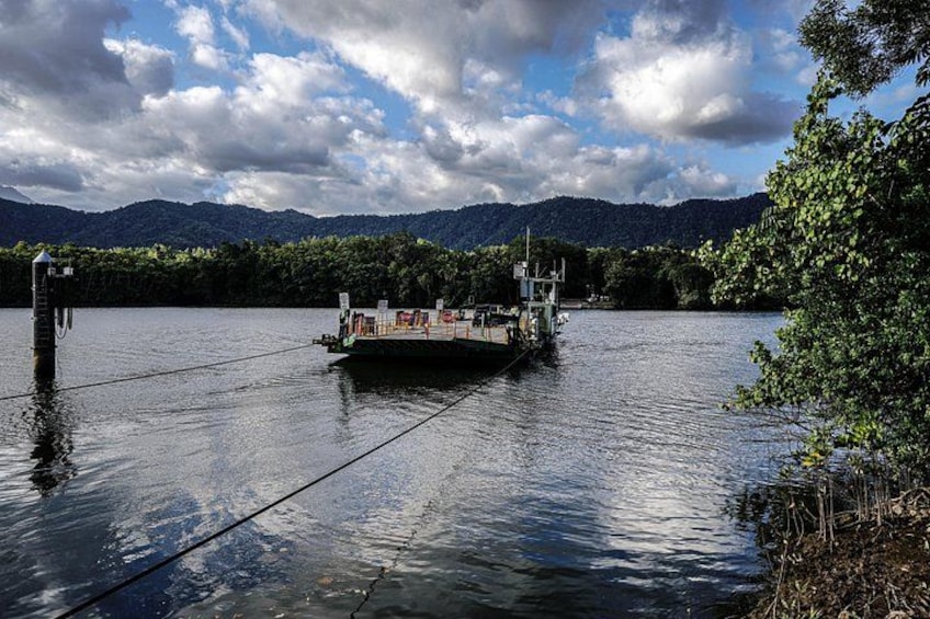 Cross the Daintree River by Ferry 4