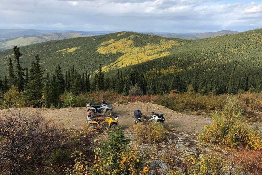 A dirt path with off-road vehicles and a dog in a forested area. 2