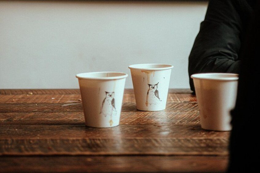 Trois gobelets en papier ornés de motifs représentant des hiboux, posés sur une table en bois. 2