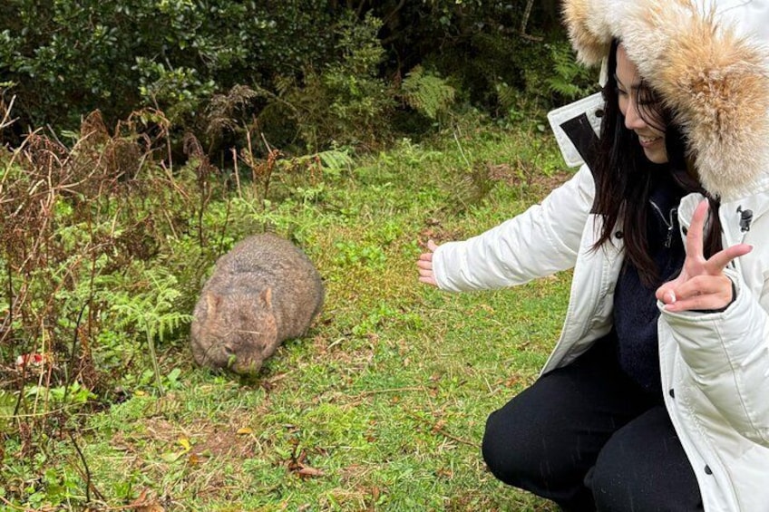 A person crouching next to a large animal in a grassy area with dense foliage in the background. 5