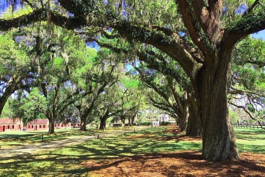 Boone Hall Plantation All-Access Admission Ticket 3