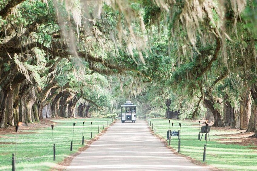 Boone Hall Plantation All-Access Admission Ticket 1