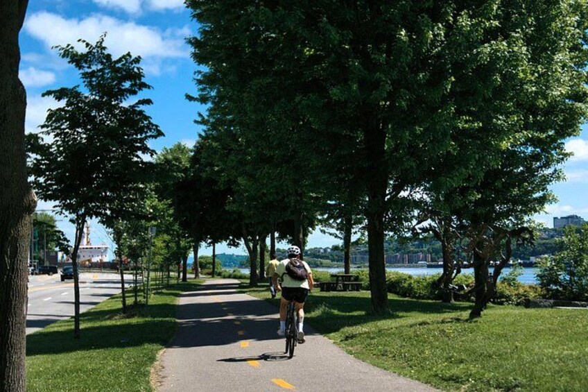 A person cycling on a paved path surrounded by trees and grass, with a body of water and a bridge in the background. 2