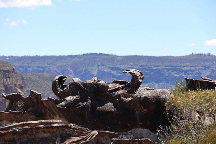 Blue Mountains Private Tour | Beyond the Three Sisters 1