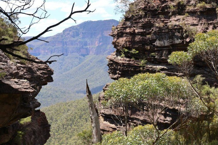Blue Mountains Private Tour | Beyond the Three Sisters 3