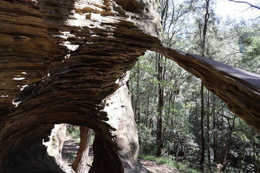 Blue Mountains Private Tour | Beyond the Three Sisters 2