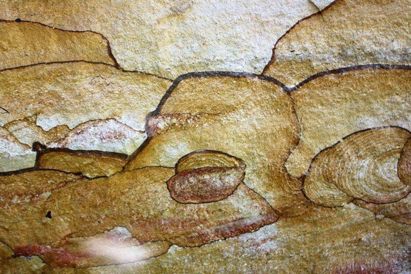 Blue Mountains Private Tour | Beyond the Three Sisters 5