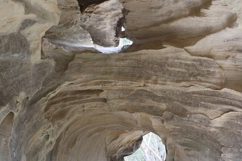 Blue Mountains Private Tour | Beyond the Three Sisters 4