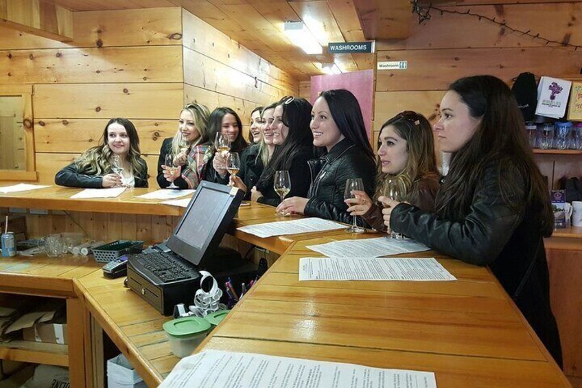 Ultimate Craft Beer Tour Through Niagara 3