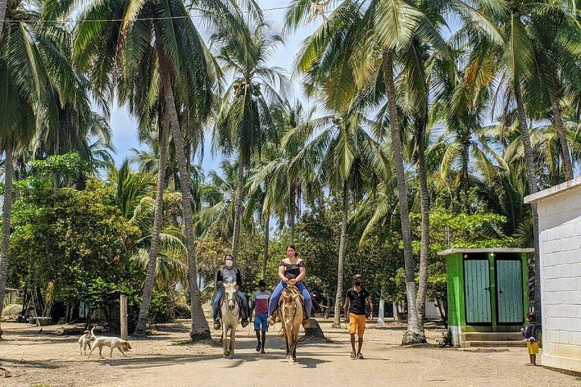 Gentle Paradise Lonely Beach Horseback Ride & Afro-Mex Village 5