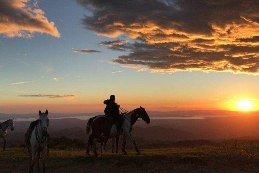 Monteverde Cloud Forest Horseback Riding 1