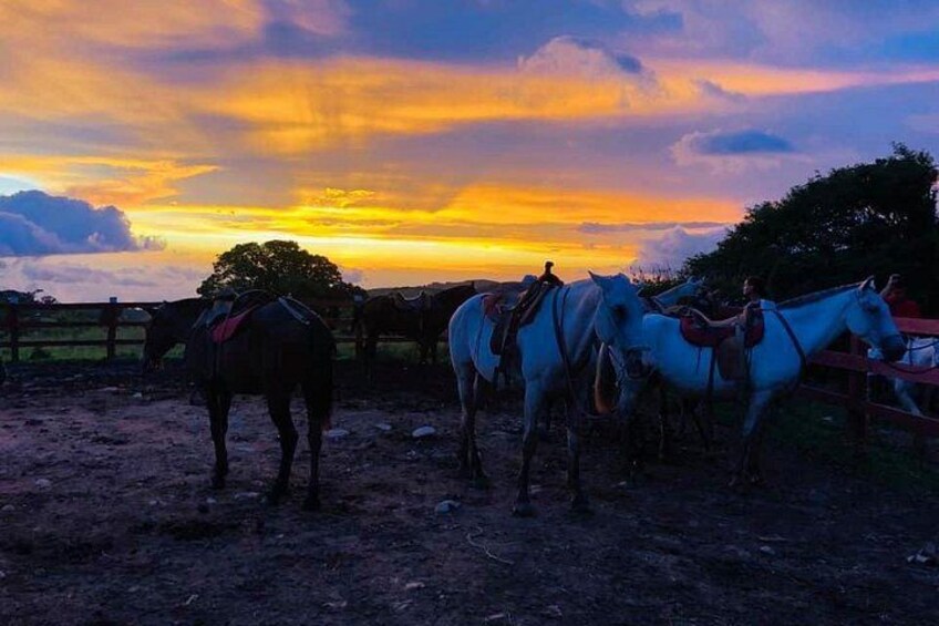 Monteverde Cloud Forest Horseback Riding 5