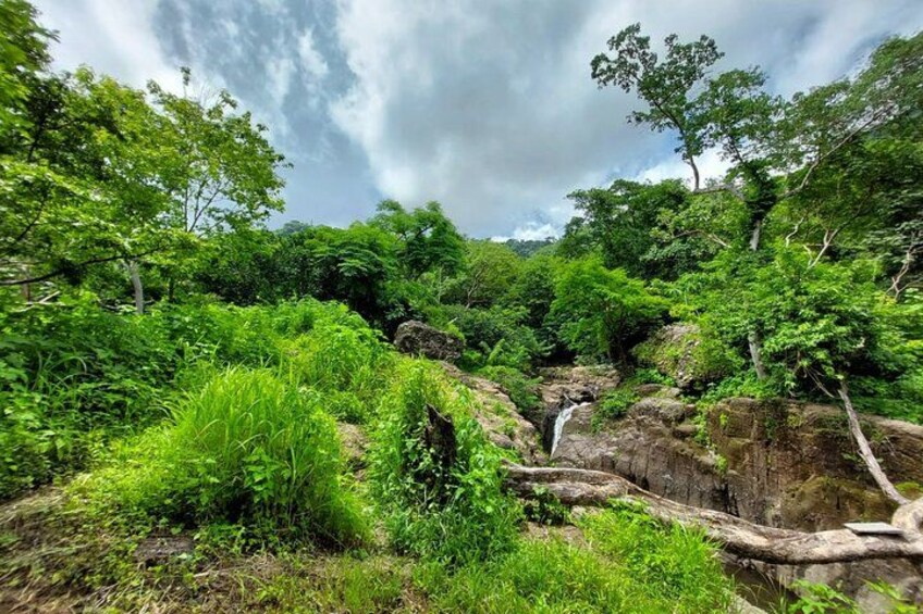 A lush green landscape with a waterfall and dense foliage. 4