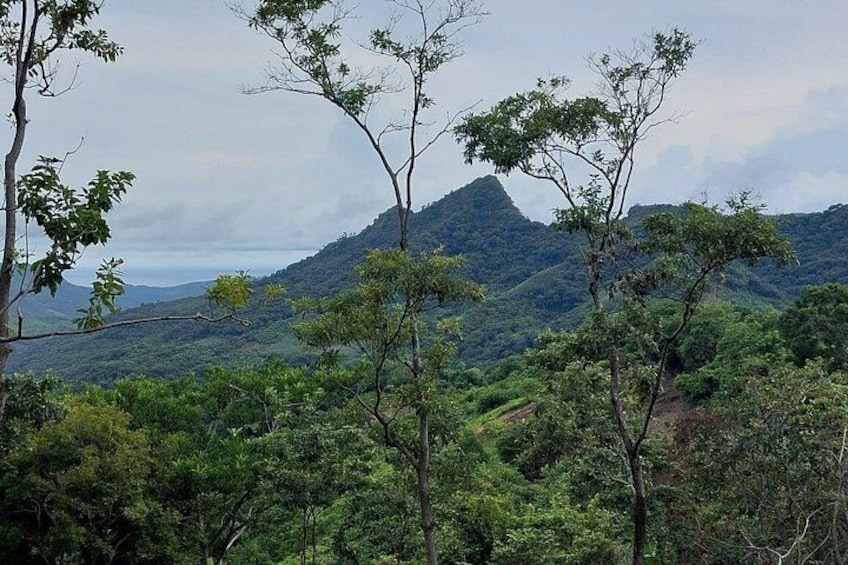 Tamanique Waterfalls Complex Trek + El Tunco Beach 5