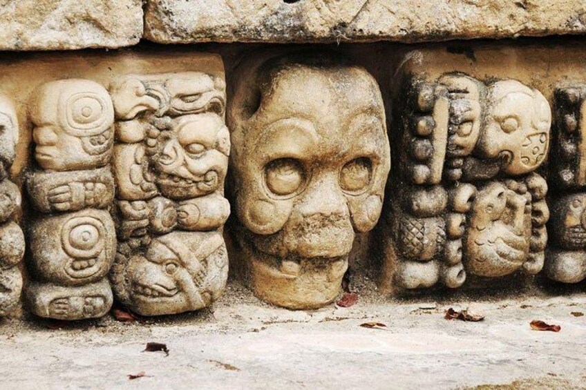 Copan Ruins: Explore the Ancient Mayan Kingdom from San Salvador 3