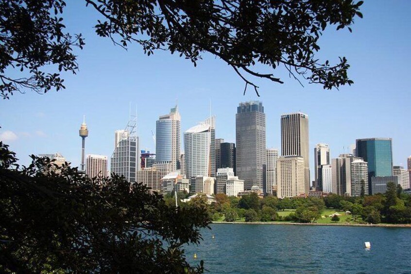 Sydney City Skyline