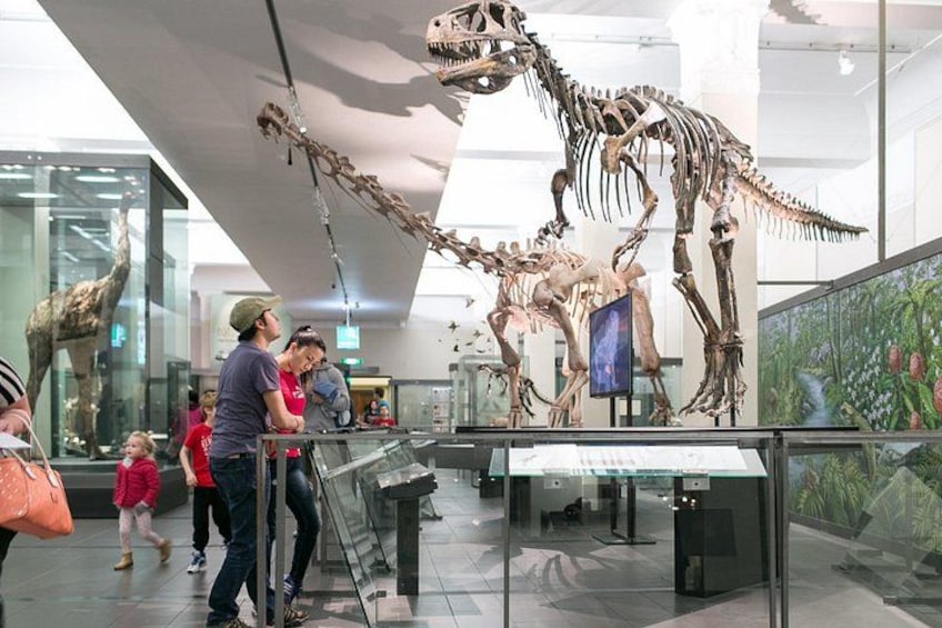 Skip the Line: Auckland Museum General Admission Ticket 1